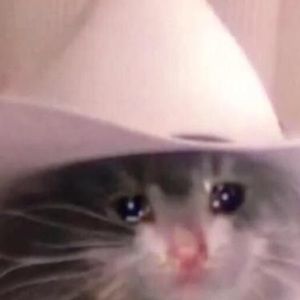 Meet your Posher, Seth